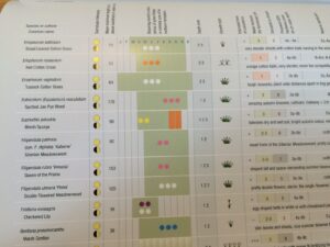 Planting guide for DIY swimming pond