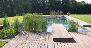Natural pool with dive board