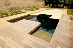 natural pool refurbishment