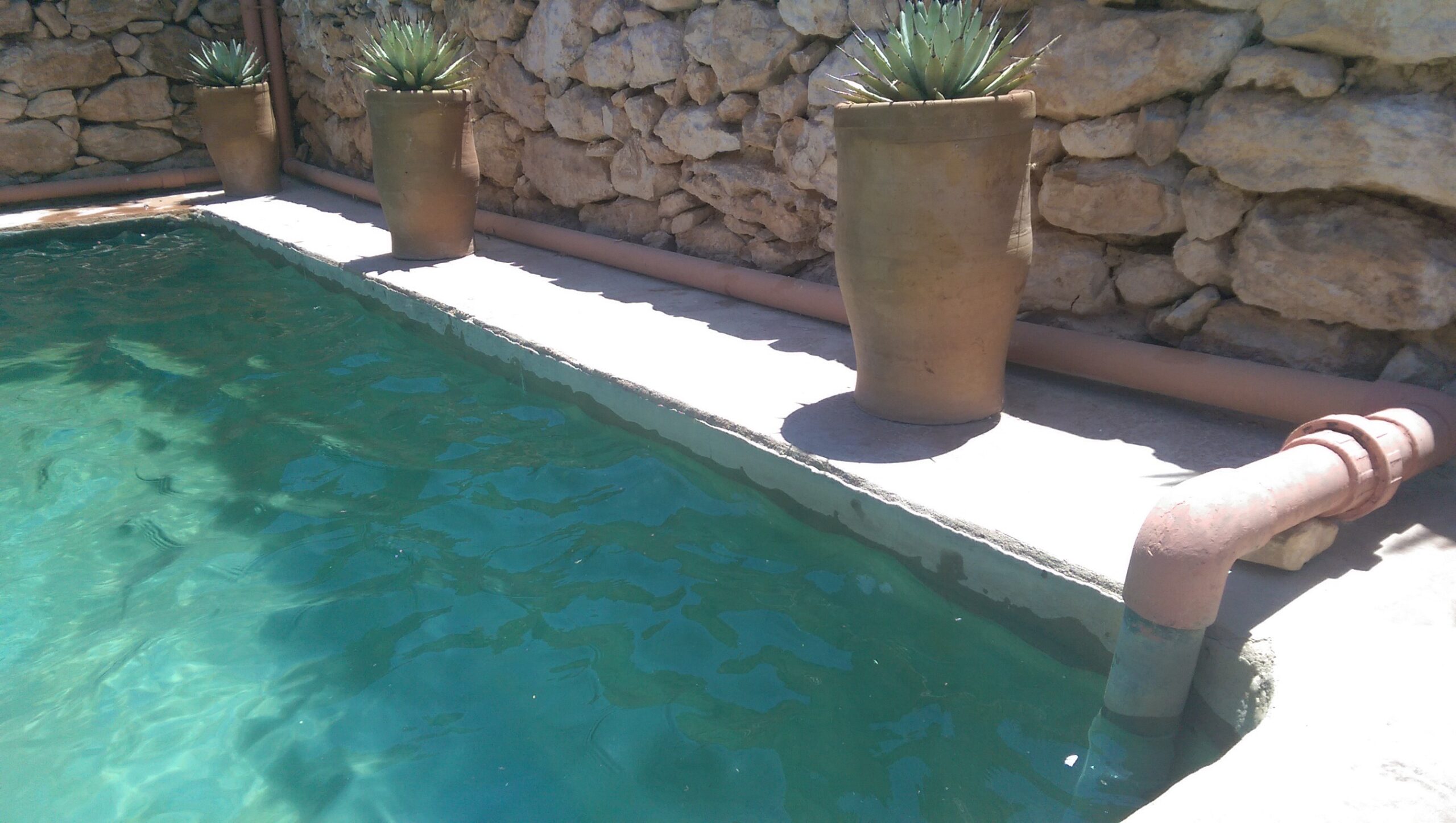 Keep the design simple When building your own DIY natural swimming pool
